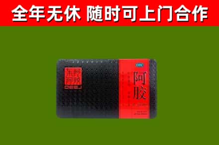 勐腊县回收阿胶
